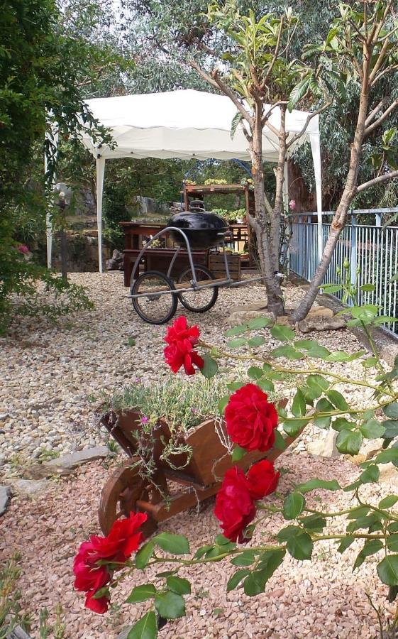 La Paloma Casa Vacanze Lucinasco Eksteriør billede